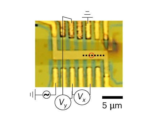 Open access visualization of Microscopy, tTLG Sample, Longitudinal Voltage, Transverse Voltage, Optical Image