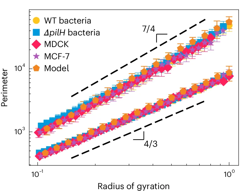 Open access visualization of Scatter Plot, Regression Plot, Error Bars, Perimeter, Radius of gyration