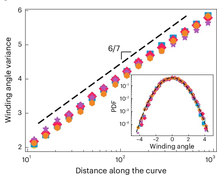 Open access visualization of Scatter Plot, Line Plot, Density Plot, Winding Angle, Distance Along Curve