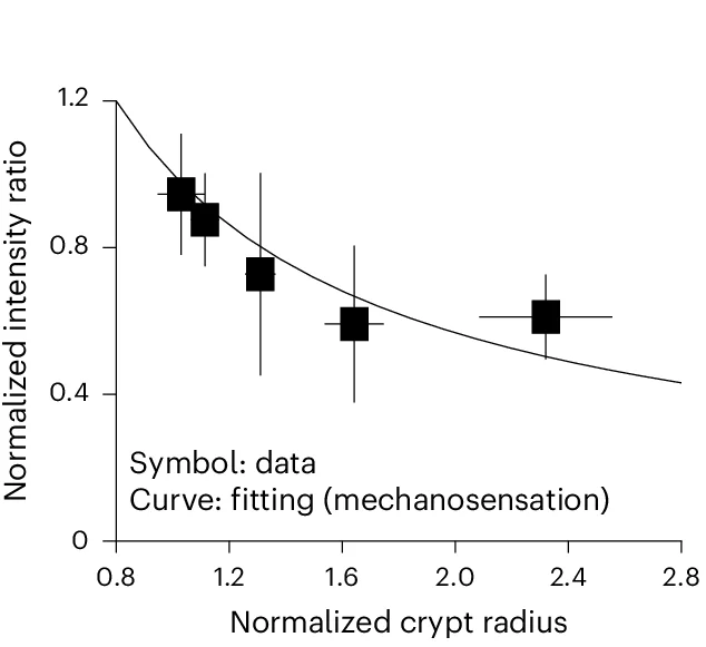 Open access visualization of Line Plot, Error Bars, Scatter Plot, Experimental Data, Mechanosensitivity