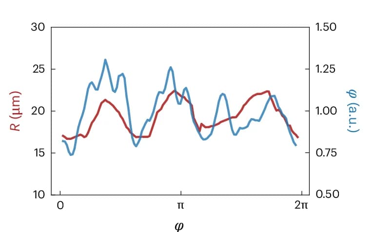Open access visualization of Line Plot, Microtubule Density, Local Deformation, Membrane, Correlation