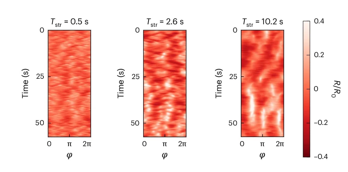 Open access visualization of Heatmap, Kymographs, Equatorial Membrane, Membrane Deformations