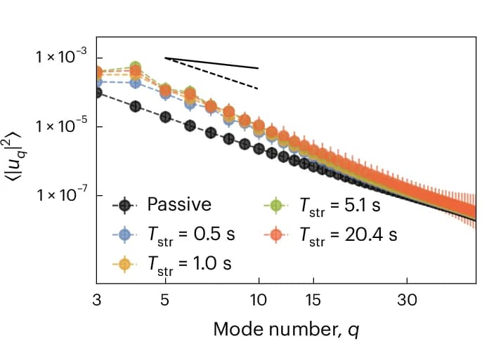 Open access visualization of Line Plot, Error Bars, Spatial Fluctuations, Active Spectrum, Passive Reference