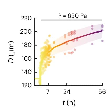 Open access visualization of Scatter Plot, Regression Plot, Channel Diameter, Time, Pressure