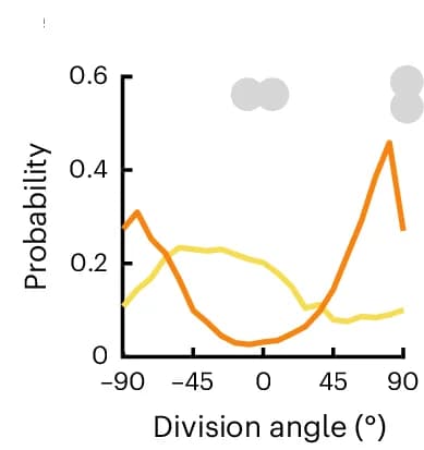 Open access visualization of Line Plot, Division Orientation, Monolayers, Pressure