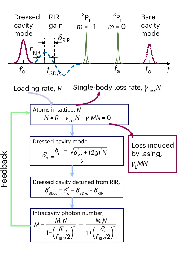 Open access visualization of Workflow, Flowchart, Line Plot, Rate Equations, 3D Molasses