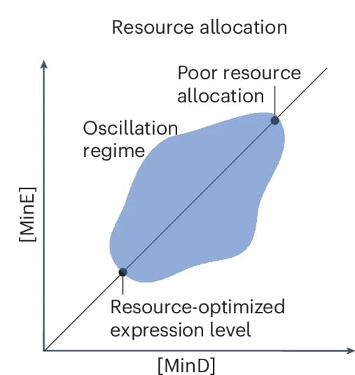 Open access visualization of Scatter Plot, Line Plot, Min Proteins, Wild-type Bacteria, Resource-Optimal