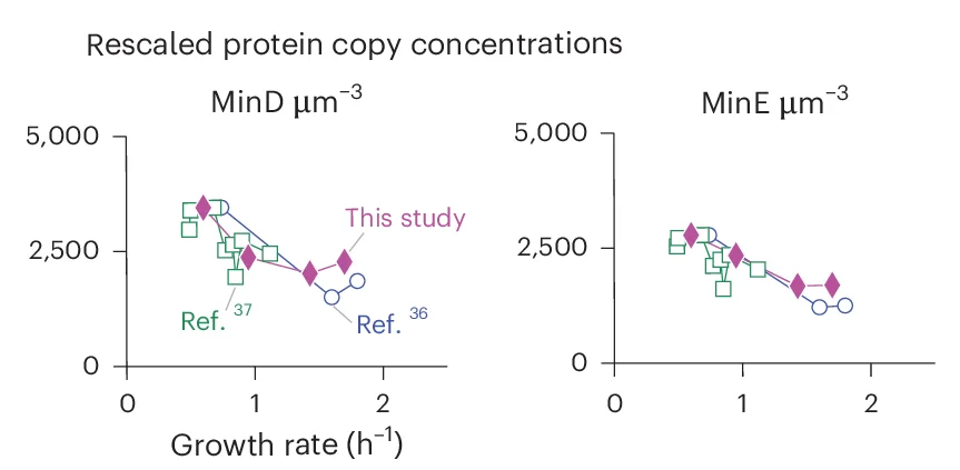 Open access visualization of Line Plot, MinD, MinE, Protein Concentrations, Fluorescence Measurement