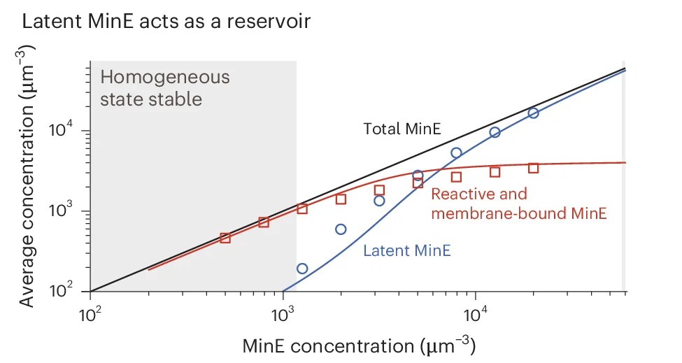 Open access visualization of Scatter Plot, Line Plot, Regression Plot, Latent MinE, MinE