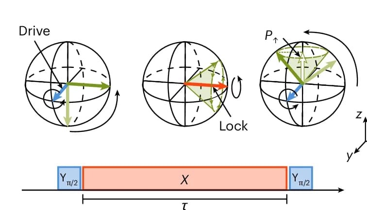 Open access visualization of Illustration, Workflow, Pulse Sequence Diagram, Bloch Sphere, Spin-Locking Sequence