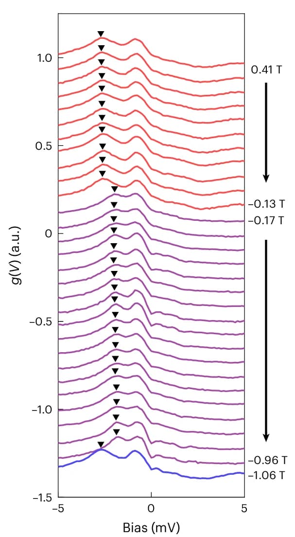 Open access visualization of Line Plot, Ridge Plot, Tunnelling Spectra, Magnetization, Energy Peaks