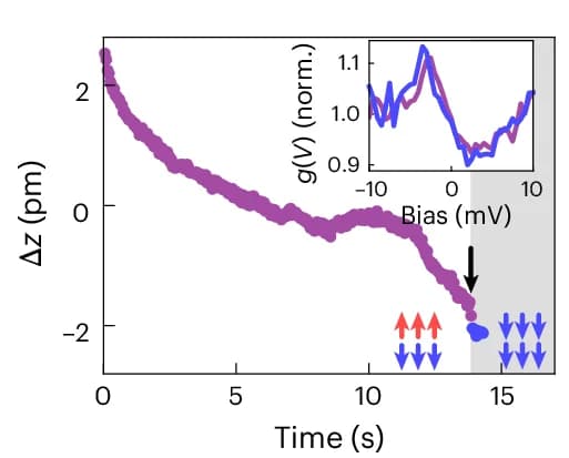 Open access visualization of Line Plot, Scatter Plot, Time Traces, Field, Surface Layer