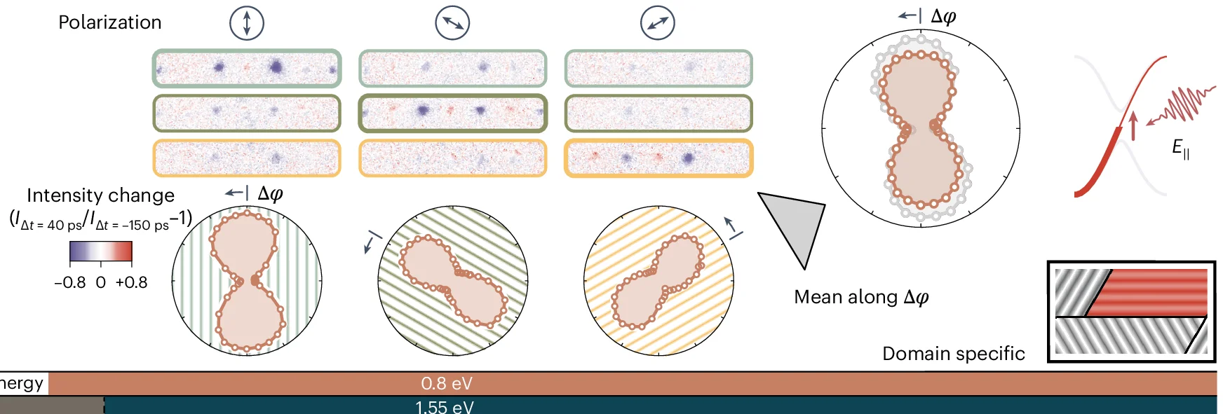 Open access visualization of Illustration, Heatmap, Line Plot, Scatter Plot, Polarization