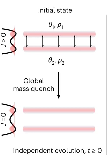 Open access visualization of Workflow, Flowchart, Illustration, Ultracold Gas, Tunnelling