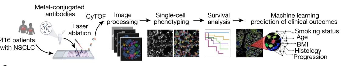 Open access visualization of Workflow, Survival Curve, Microscopy, Network, IMC