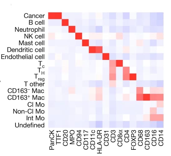 Open access visualization of Heatmap, Lineage markers, Cell types, LUAD tissue, Monocytes