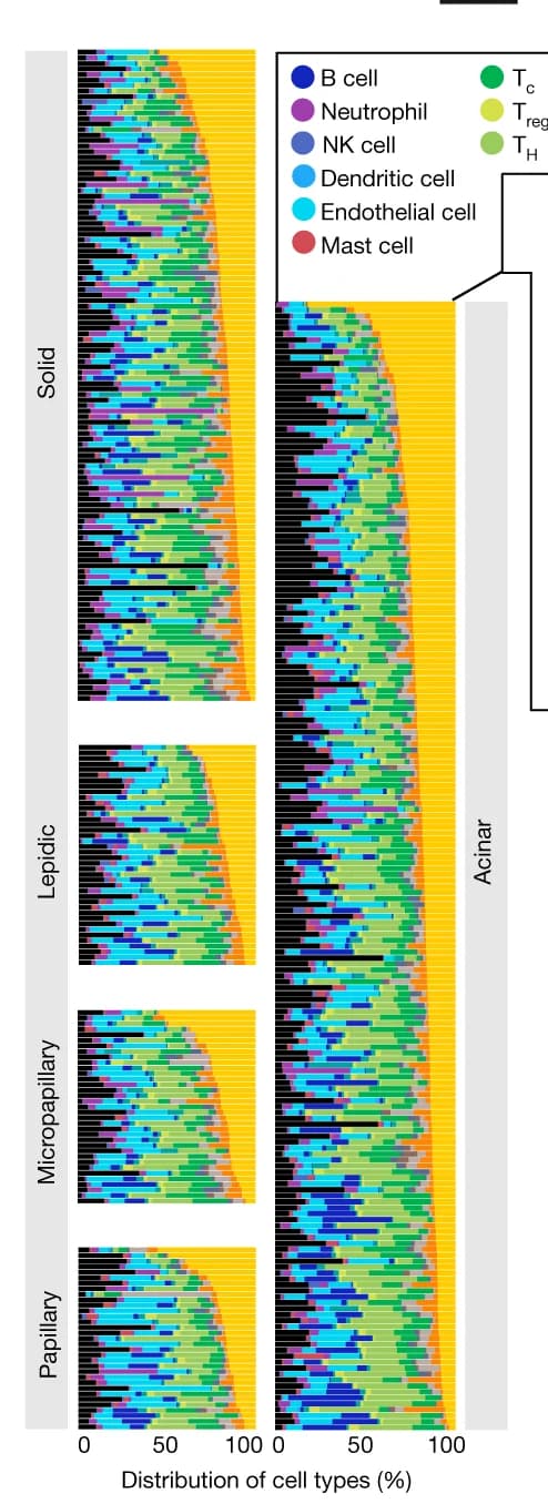 Open access visualization of Stacked Bar Plot, Waterfall plot, Stromal cells, Immune cells, Histological subgroups