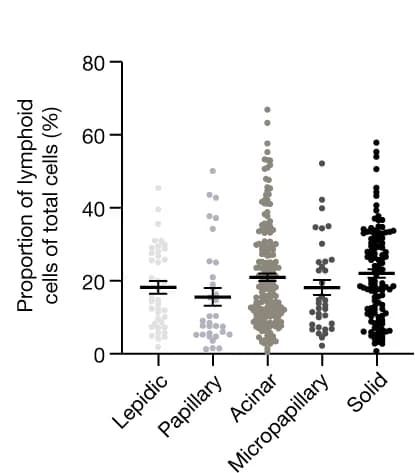 Open access visualization of Scatter Plot, Error Bars, Lymphoid Cells, Architectural patterns, Total Cells
