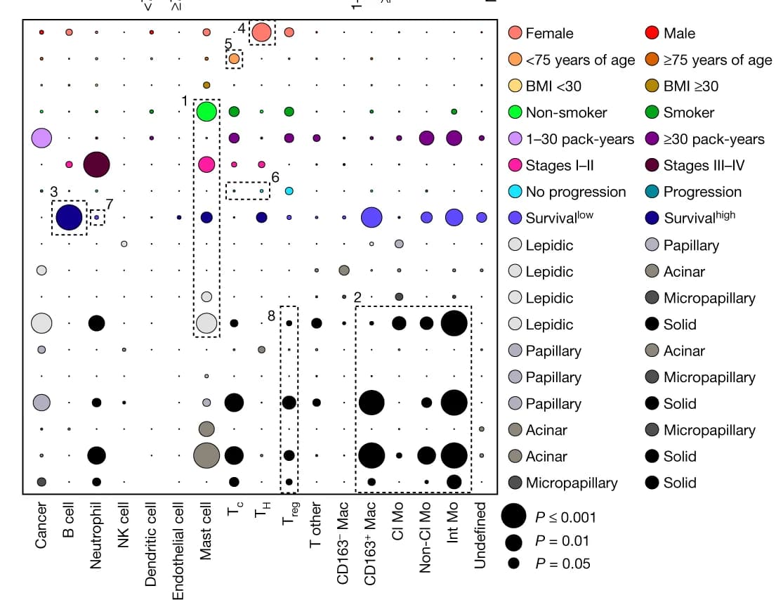 Open access visualization of Bubble Plot, Significance, Cell Type, Survival