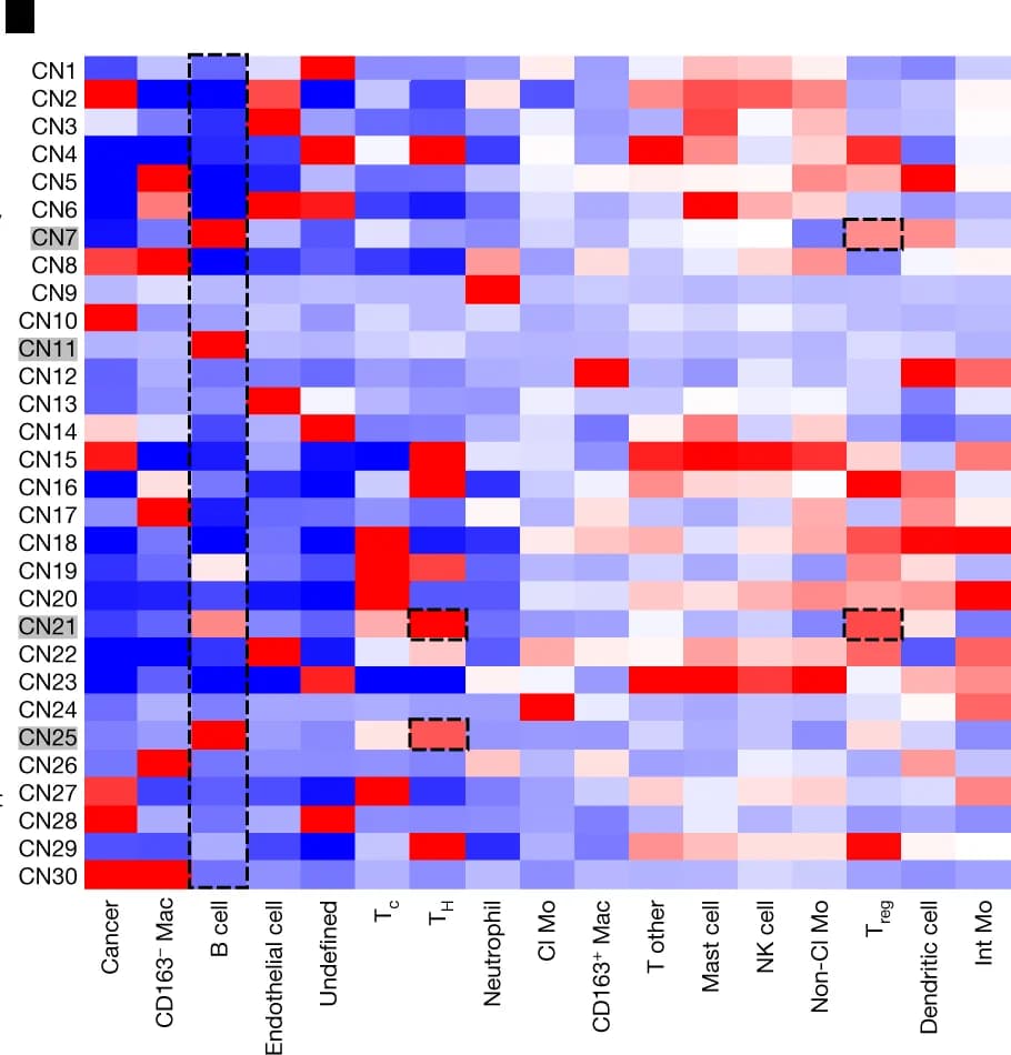 Open access visualization of Heatmap, CNs, LUAD, B-cells