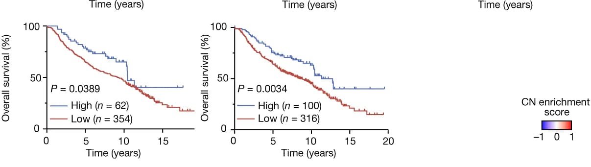 Open access visualization of Survival Curve, Line Step, Kaplan-Meier Curves, Overall Survival, LUAD