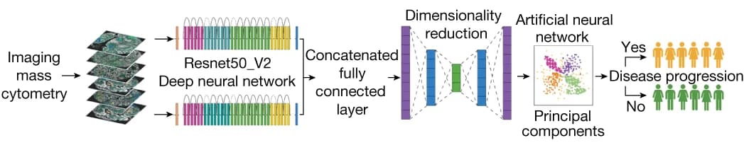 Open access visualization of Workflow, Flowchart, Scatter Plot, PCA, Deep Learning