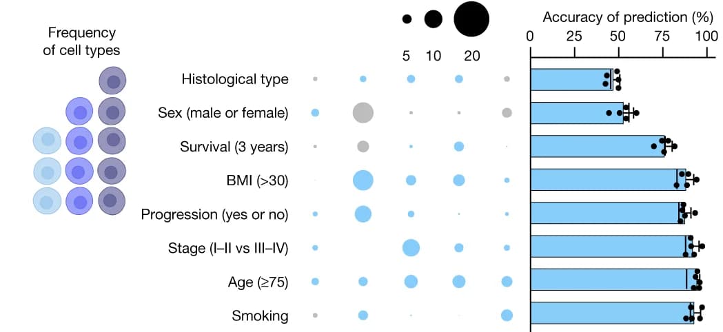 Open access visualization of Bar Plot, Scatter Plot, Error Bars, Bubble Plot, Cross-Validation