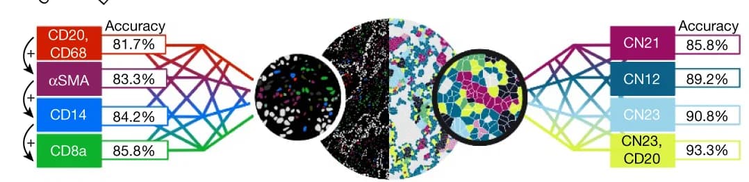 Open access visualization of Network, Microscopy, Clinical Progression, LUAD, Validation Cohort