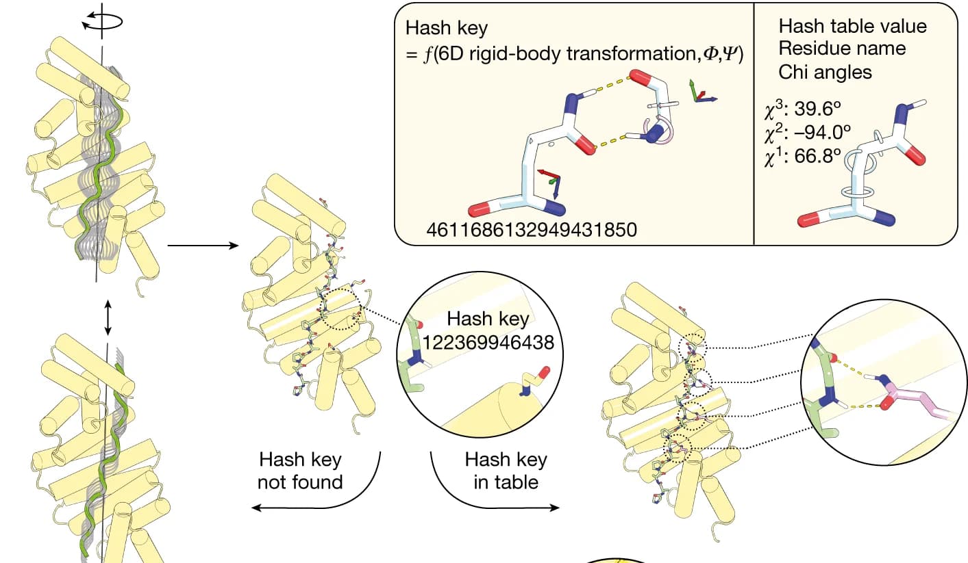 Open access visualization of Workflow, Illustration, Repeat Proteins, Repeat Peptides, Superhelical Parameters