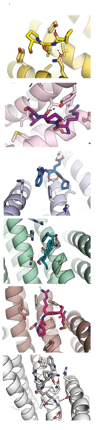 Open access visualization of Protein Structure, Chemical Structure, Protein-Peptide Interaction, Residue Interaction, Protein Design