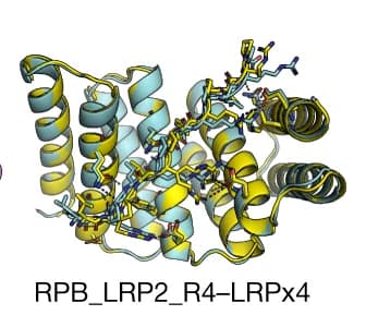 Open access visualization of Protein Structure, Computational Design Models, Crystal Structures