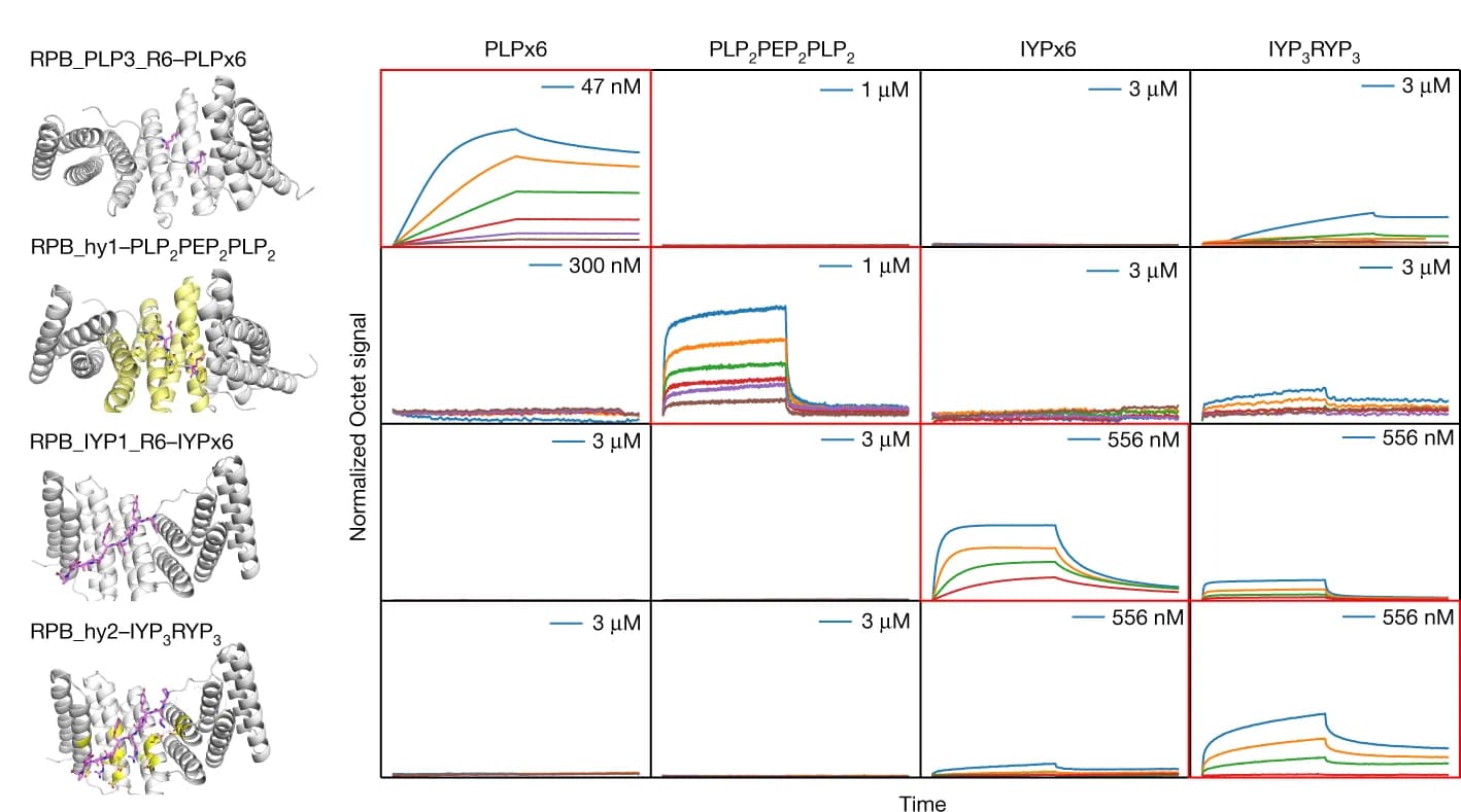 Open access visualization of Line Plot, Protein Structure, Peptide Sequence, Ribbon Diagrams, Protein Modules