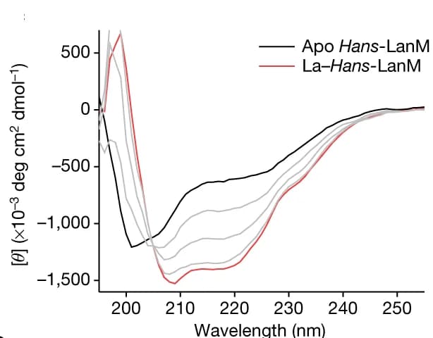 Open access visualization of Line Plot, Circular Dichroism Spectra, Hans-LanM, La III, Conformational Response