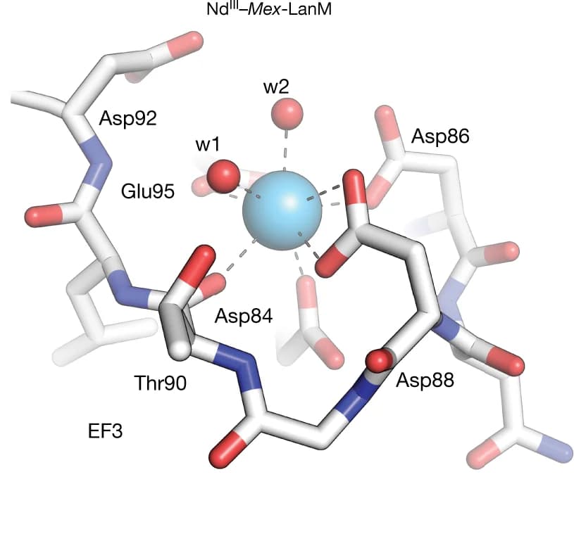 Open access visualization of Protein Structure, Chemical Structure, Metal-binding Site, EF3, Nd III Ions
