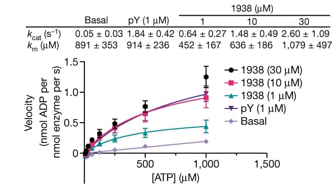 Open access visualization of Line Plot, Error Bars, Enzyme Kinetics, ATP Titration, PI3K