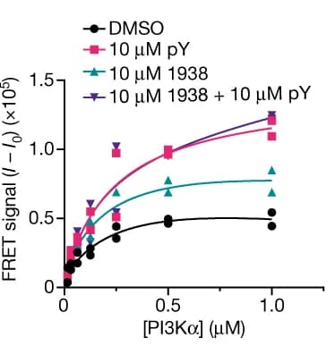 Open access visualization of Line Plot, Scatter Plot, Membrane Binding, FRET Signal, Fluorescence Intensity