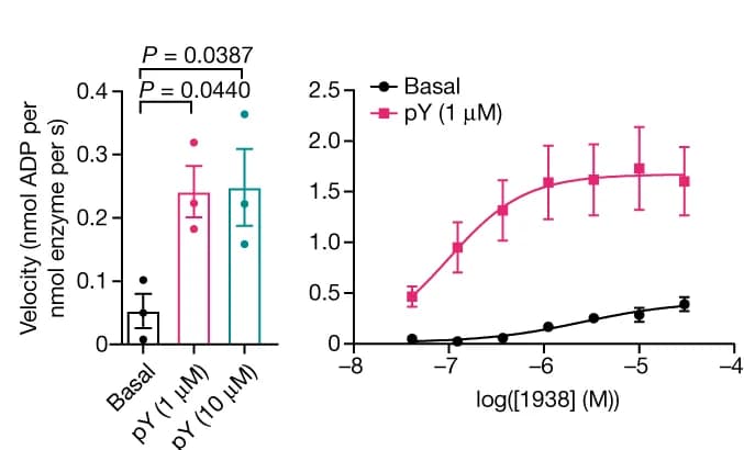 Open access visualization of Bar Plot, Error Bars, Line Plot, Catalytic Activity, PI3K