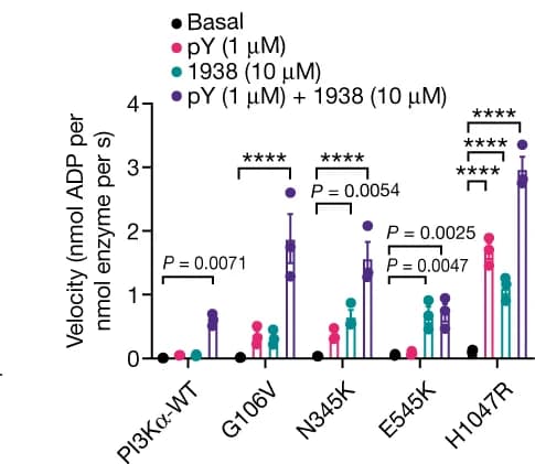 Open access visualization of Bar Plot, Error Bars, Scatter Plot, Catalytic Activity, Oncogenic Mutants