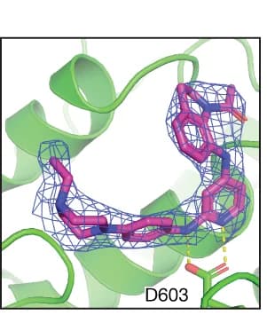 Open access visualization of Protein Structure, Chemical Structure, Density Map, Ligand, Crystal Structure