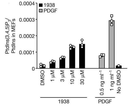 Open access visualization of Bar Plot, Error Bars, Clustered, PtdIns(3,4,5)P3, MEFs