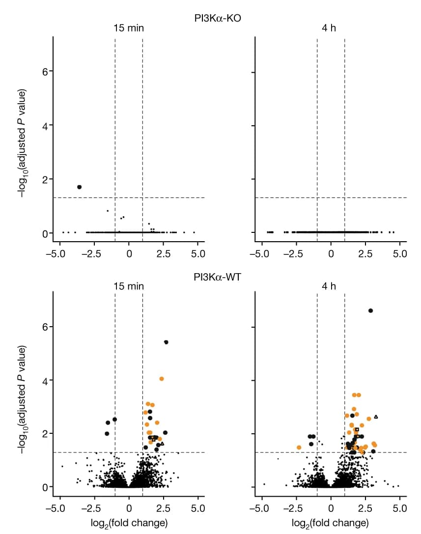 Open access visualization of Volcano Plot, Scatter Plot, Volcano Plots, Phosphosites, PI3K-WT MEFs