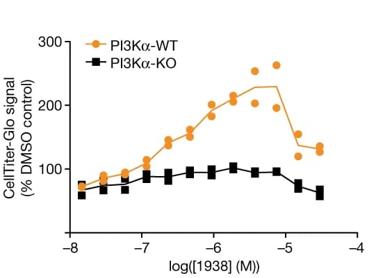 Open access visualization of Line Plot, Scatter Plot, MEFs, Serum starvation, Stimulation