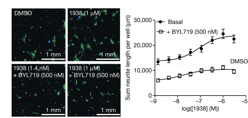 Open access visualization of Line Plot, Error Bars, Microscopy, Neurons, beta-III-tubulin