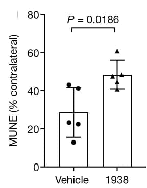 Open access visualization of Bar Plot, Error Bars, Motor unit number estimation, Tibialis anterior muscle