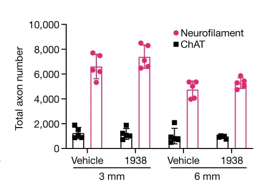 Open access visualization of Bar Plot, Error Bars, Scatter Plot, Compound muscle action potential, TA Muscle