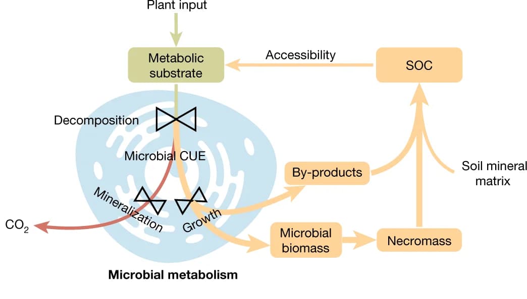 Open access visualization of Workflow, Flowchart, Illustration, CUE, SOC storage