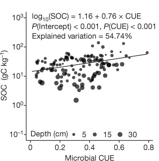 Open access visualization of Bubble Plot, Regression Plot, Meta-analysis, Measurements, CUE-SOC Relationship