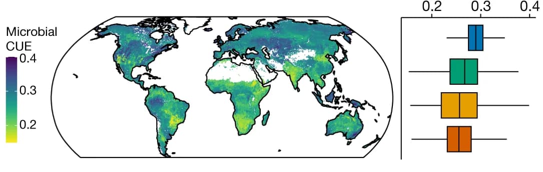 Open access visualization of Geo Map, Box Plot, Microbial CUE, Carbon, Climate Zones