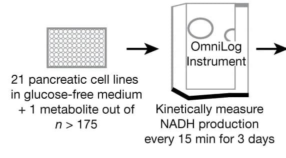 Open access visualization of Workflow, Flowchart, Illustration, Nutrient metabolism, Screening assay