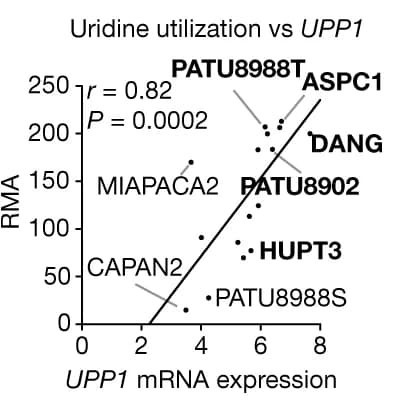 Open access visualization of Scatter Plot, Regression Plot, Spearman correlation, Metabolic activity, Uridine catabolism